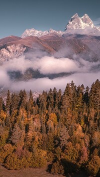 Drzewa i góry Kaukaz jesienią