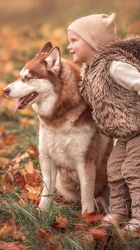 Dziewczynka i rudawy siberian husky