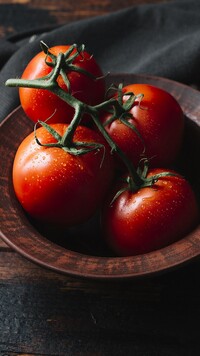 Gałązka pomidorów