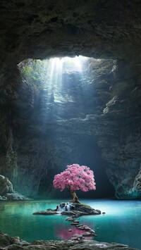 Kwitnące drzewo w jaskini