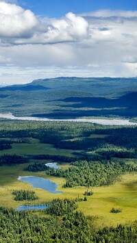 Park Narodowy Denali na Alasce