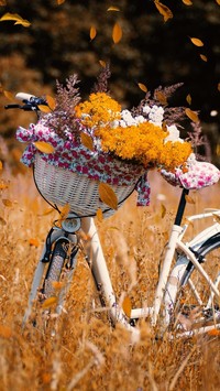 Rower z bukietem jesiennych kwiatów