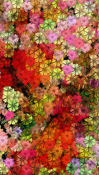 Tekstura w kolorowe kwiaty