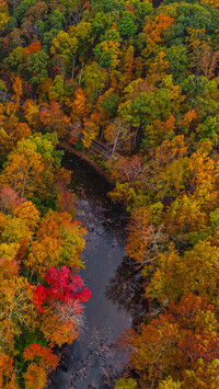 Widok z góry na jesienny las nad rzeką