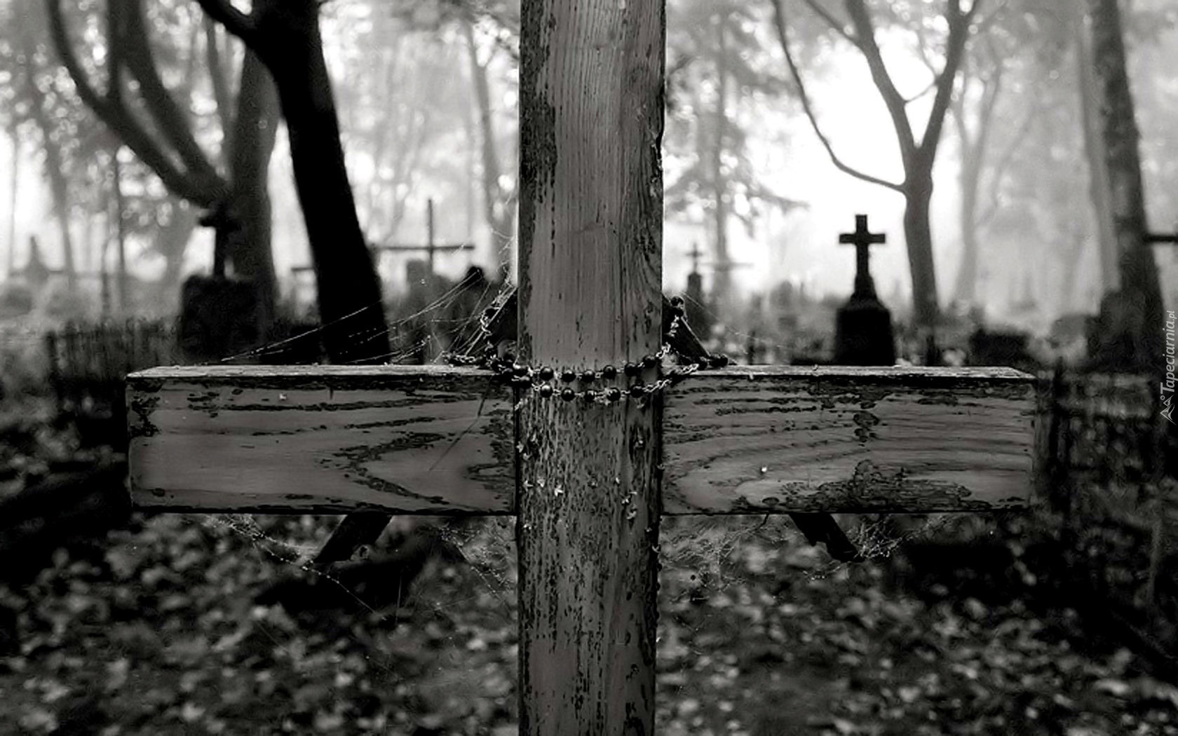 Krzyż, Różaniec, Cmentarz