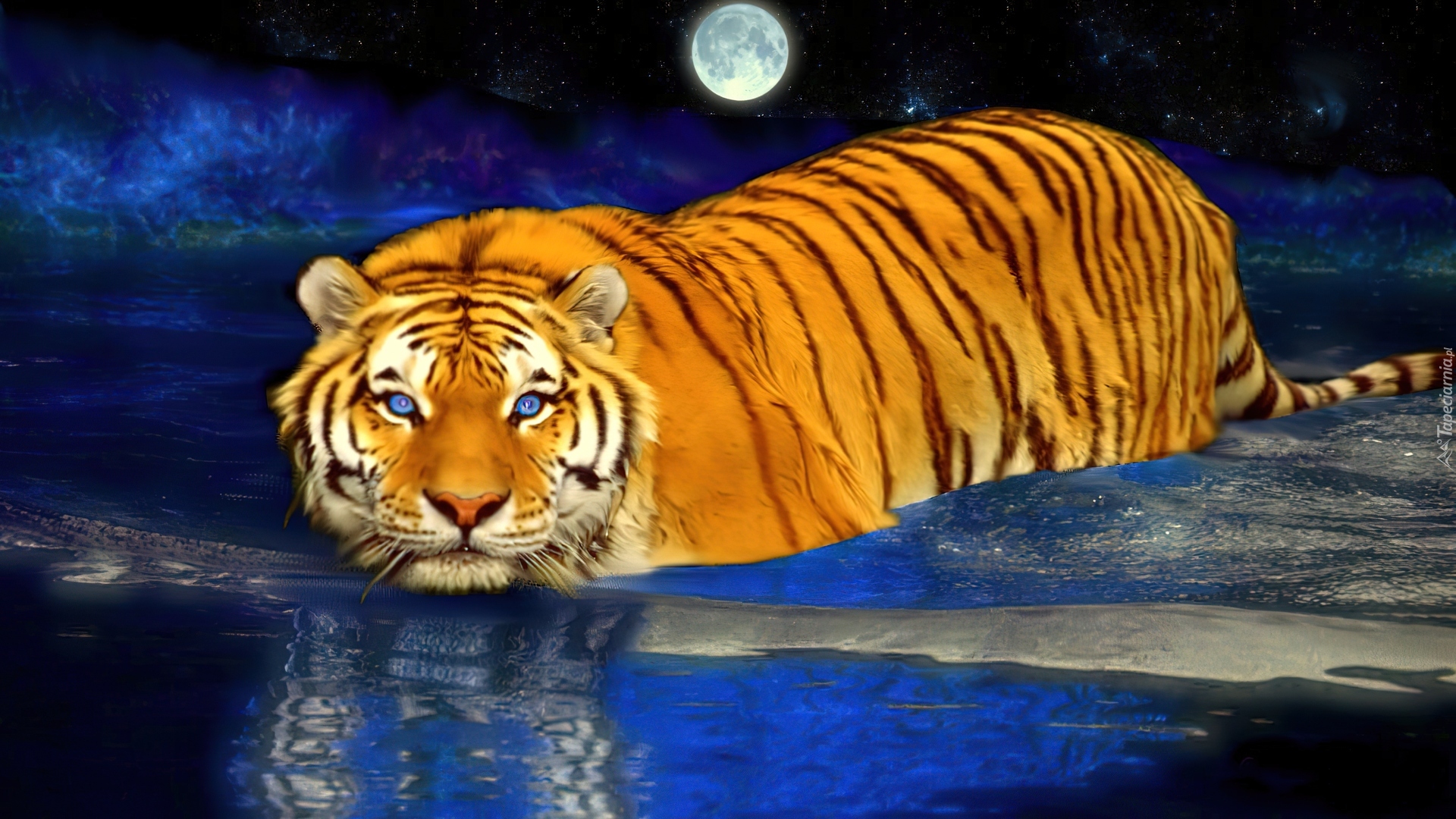 Тигр ночью