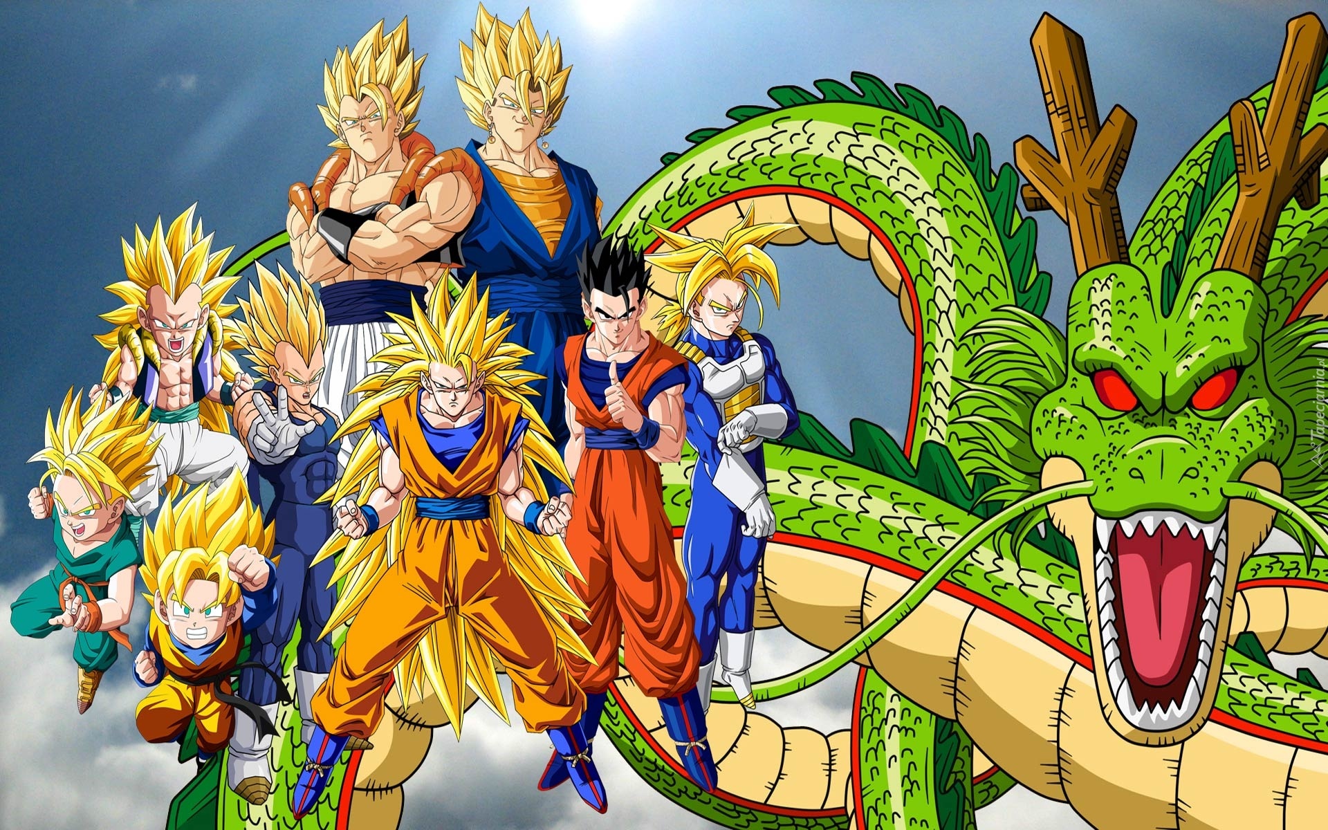 Dragon Ball Z, Son Goku, Vegeta