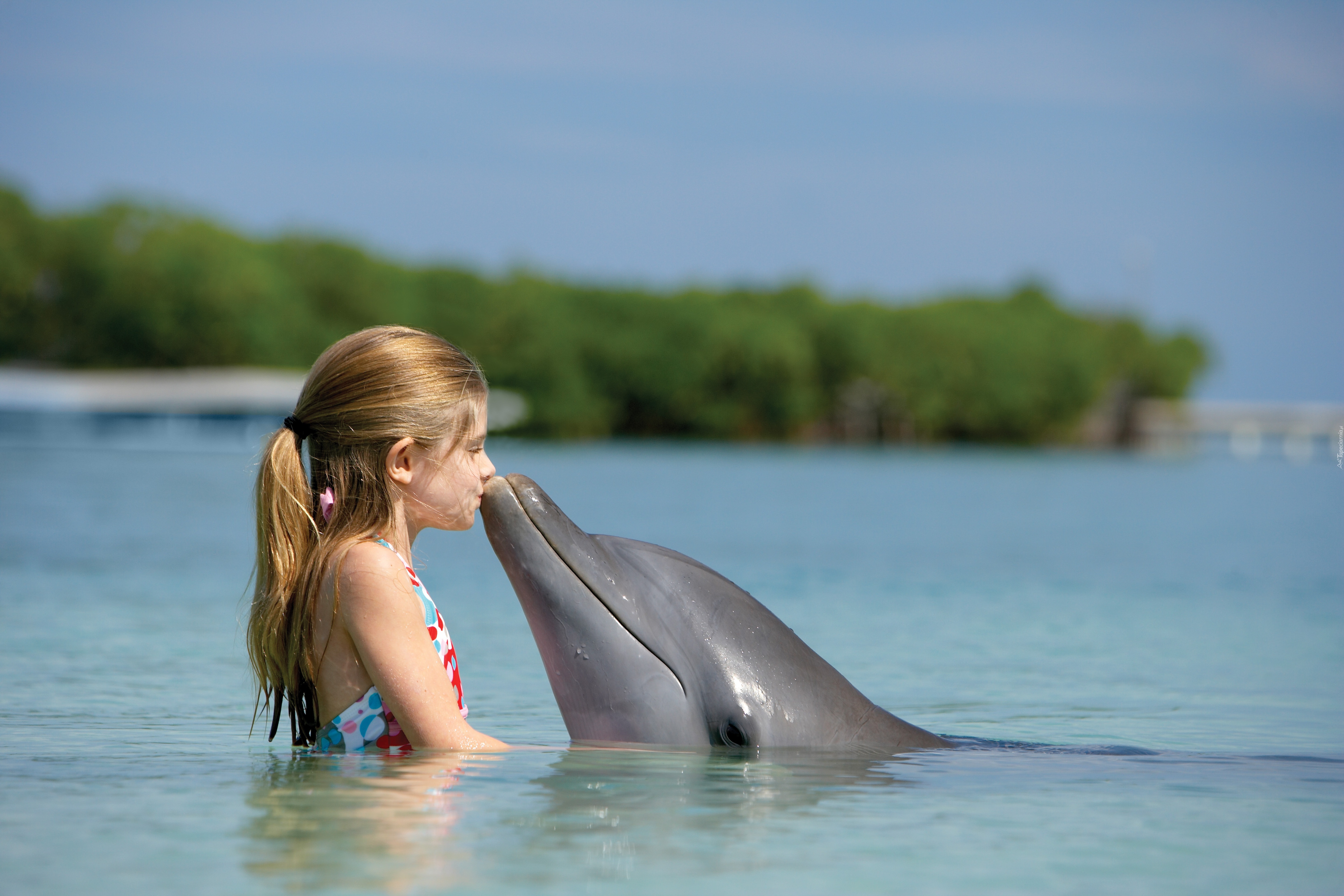 Dziewczynka, Delfin, Woda, Pocałunek