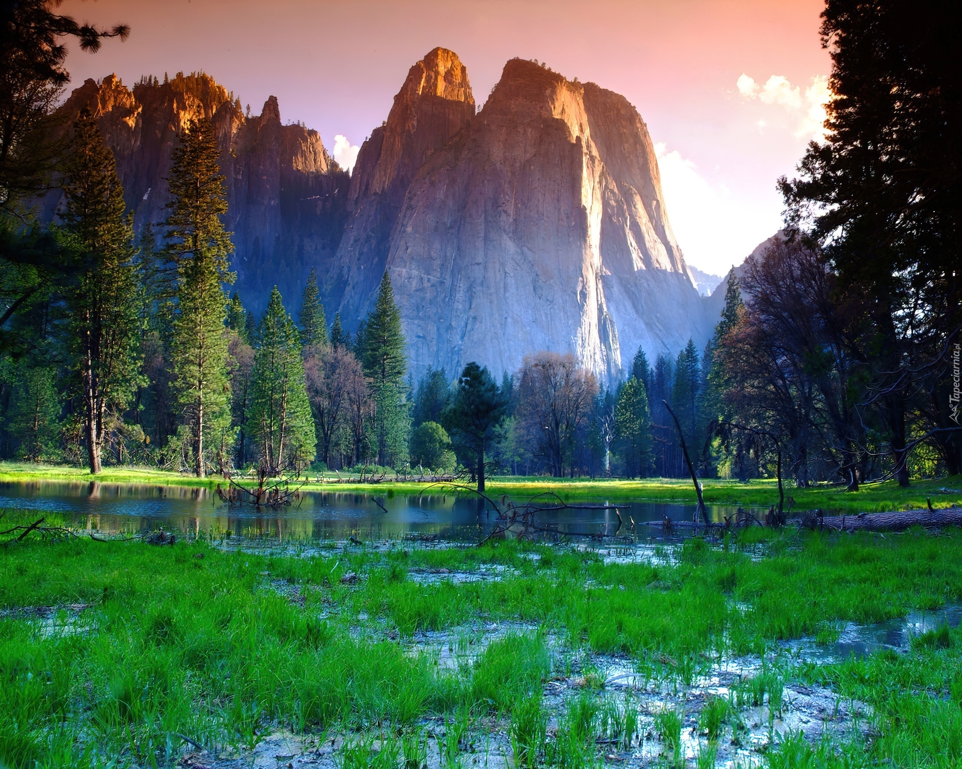 Stany Zjednoczone, Stan Kalifornia, Park Narodowy Yosemite, Łąka, Woda, Góry, Drzewa