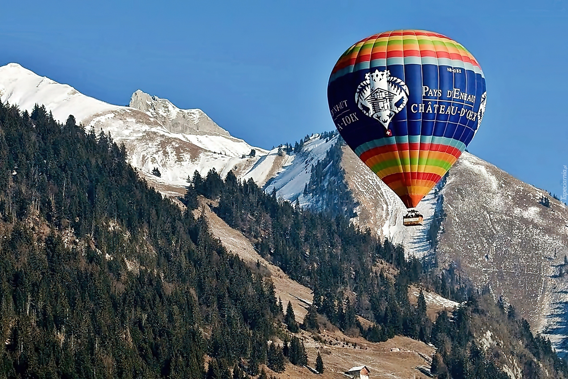 Шато-д'о Швейцария воздушные шары