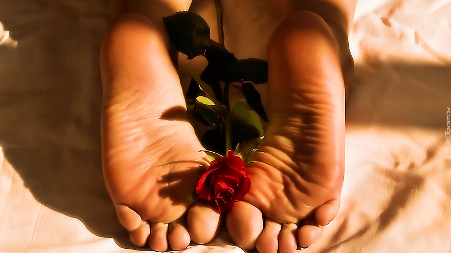 Цветы к ногам женщины