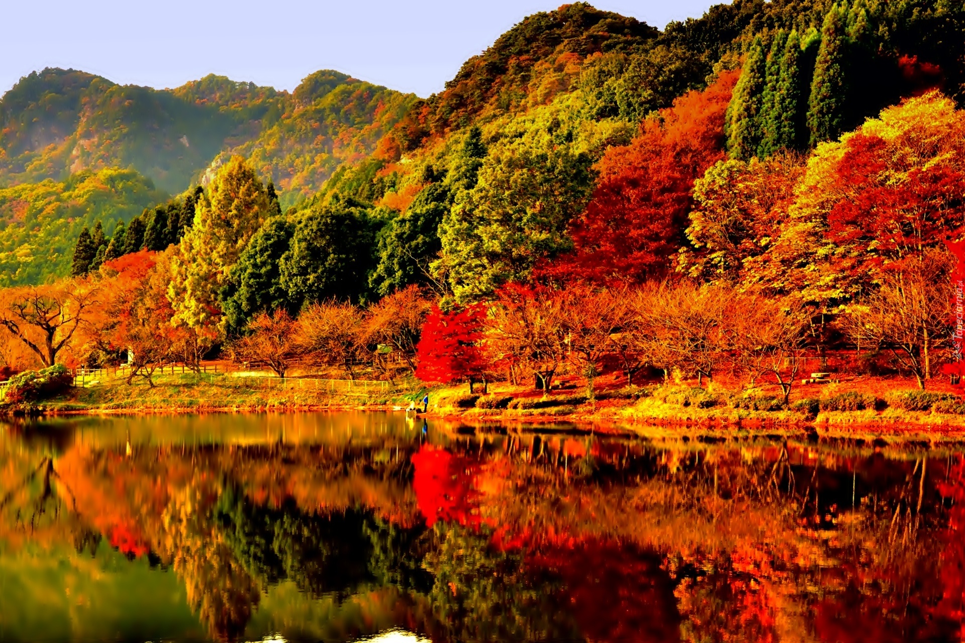 Jesień, Jezioro, Kolorowe, Drzewa