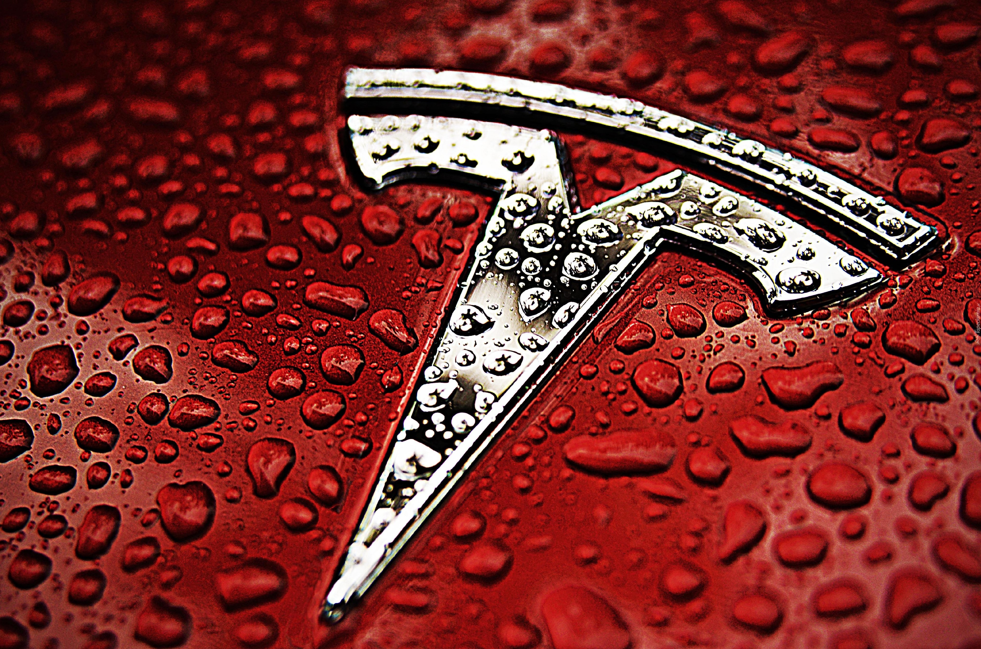 Tesla, Logo, Znaczek