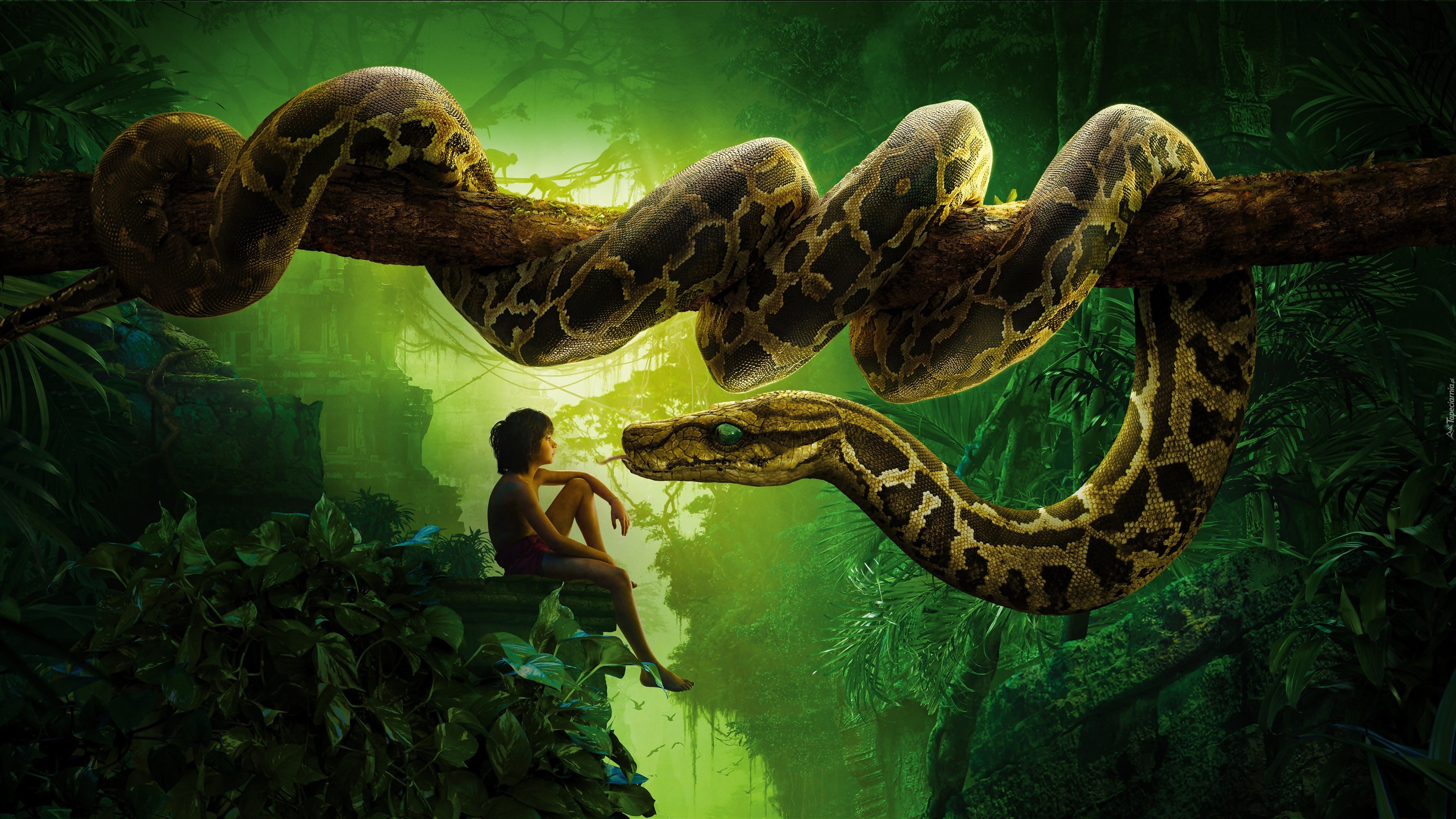 Chłopiec, Wąż, Skały, Księga Dżungli, The Jungle Book