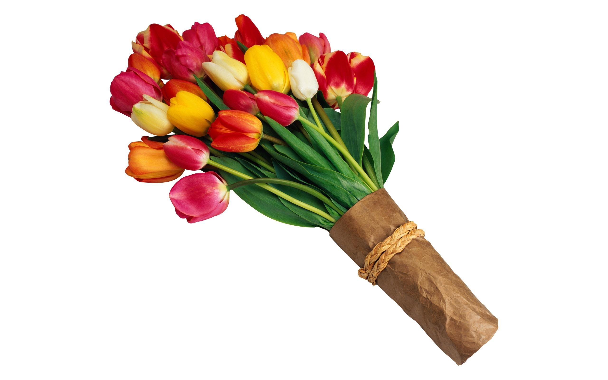 Bukiet, Różnokolorowych, Tulipanów