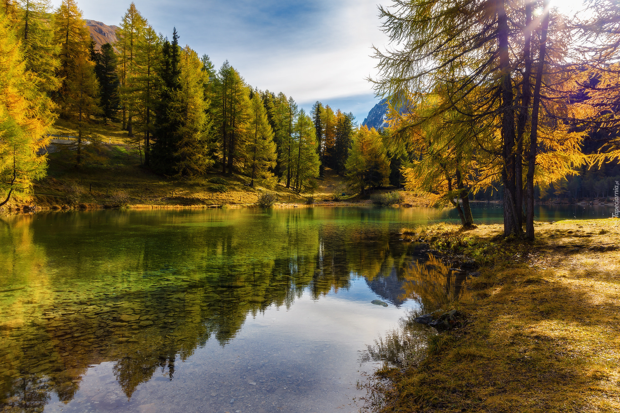 Jezioro Lai da Palpuogna, Jesień, Drzewa, Park przyrodniczy Ela, Kanton Gryzonia, Szwajcaria