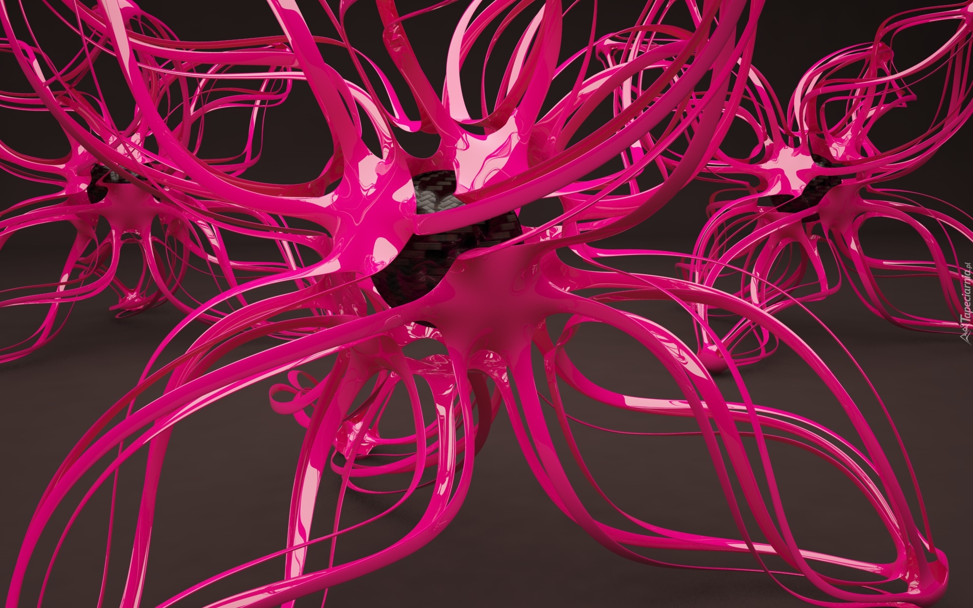 Różowa, Grafika 3D