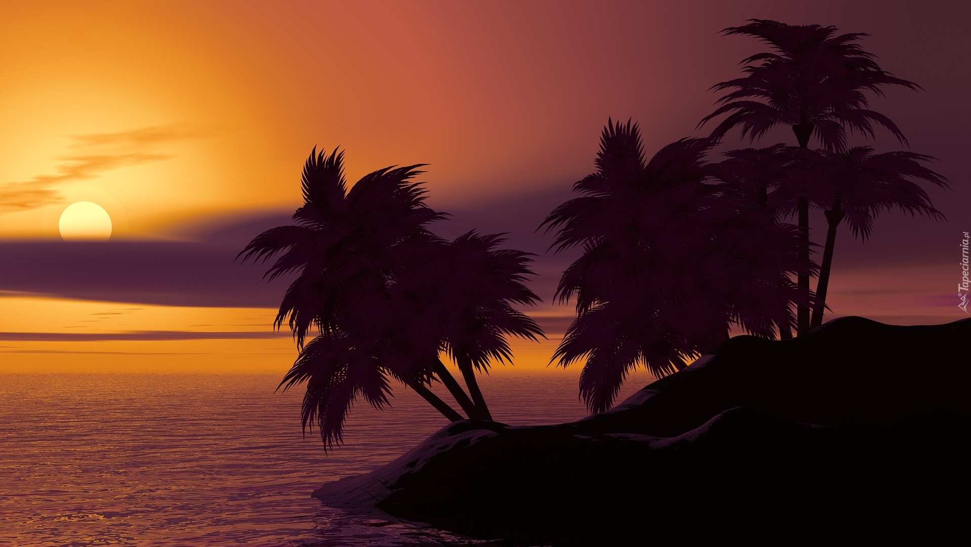 Zachód słońca, Morze, Palmy