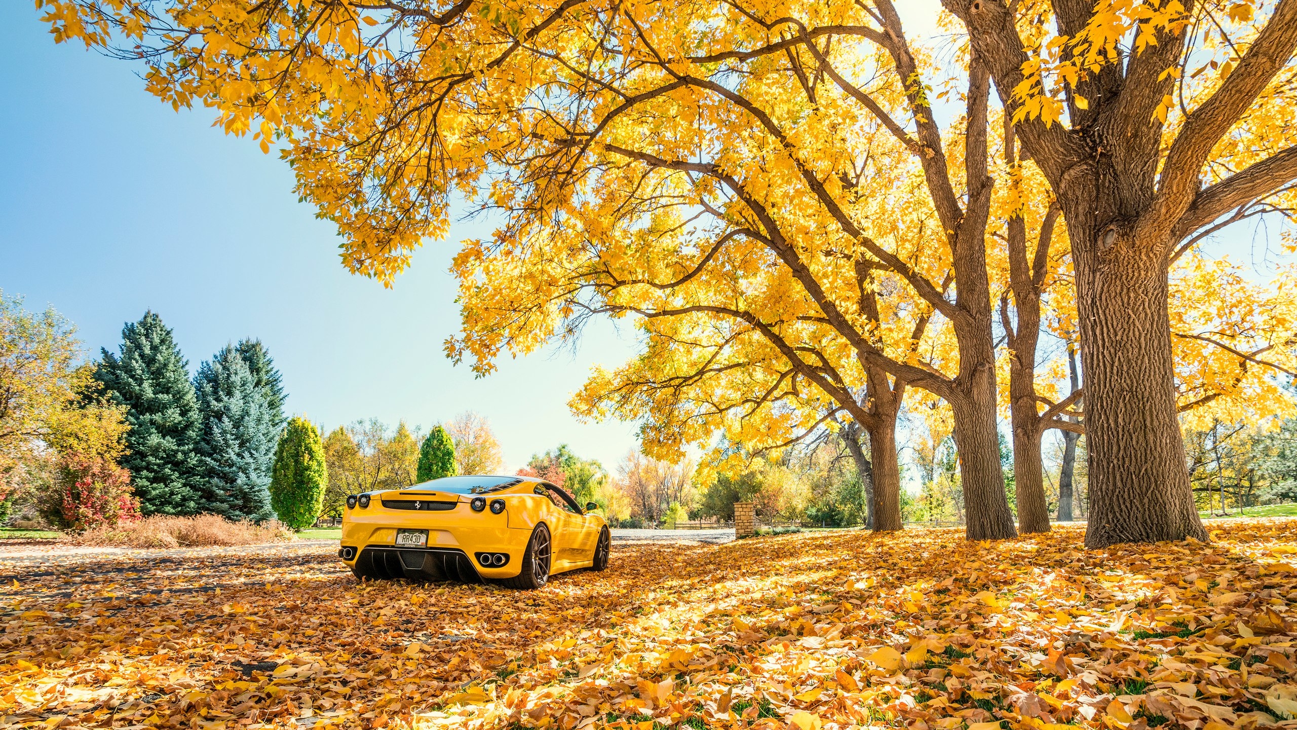 Jesień, Drzewa, Liście, Żółty, Samochód, Ferrari F 430