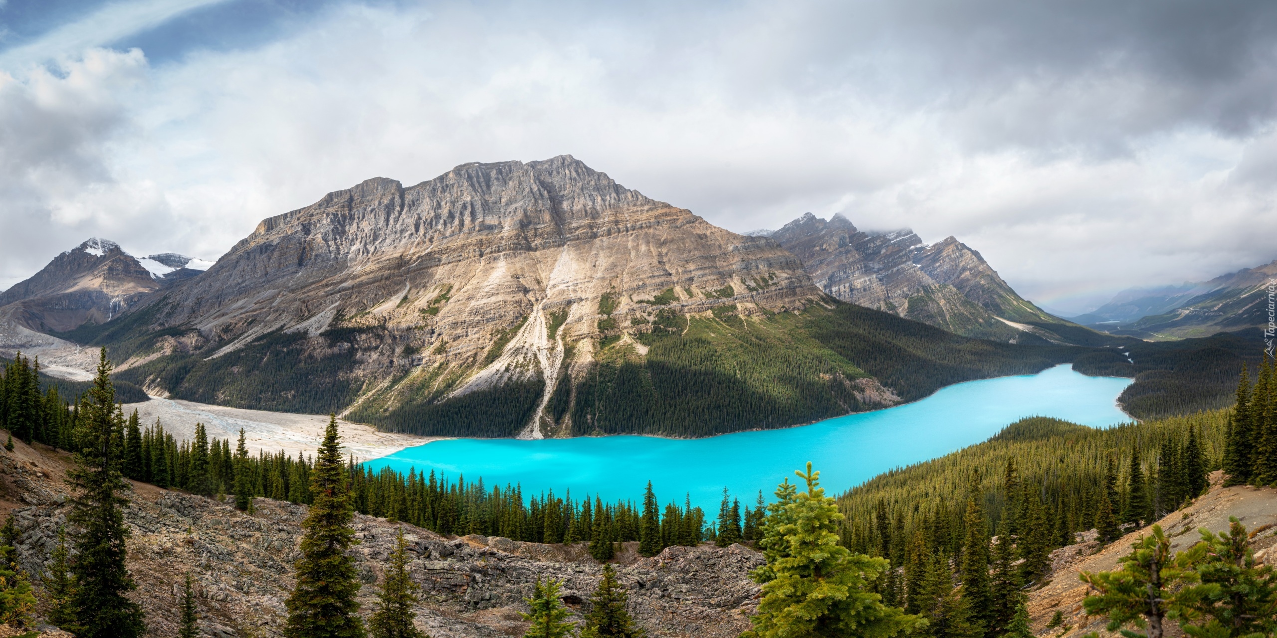 Góry, Canadian Rockies, Chmury, Jezioro Peyto Lake, Las, Drzewa, Park Narodowy Banff, Alberta, Kanada