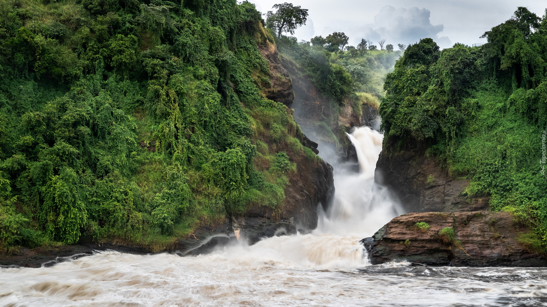 Wodospad, Murchison Falls, Skały, Zielone, Drzewa, Park Narodowy Wodospadu Murchisona, Uganda