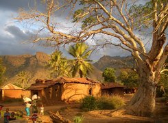 Góry, Wioska, Drzewo, Mieszkańcy, Tanzania