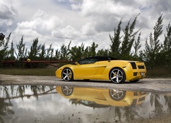 Żółte, Lamborghini, Felgi