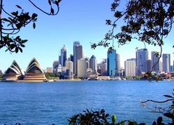 Australia, Sydney, Opera Sydney Opera House, Wieżowce