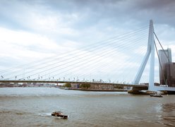 Erasmus Bridge, Rotterdam, Holandia, Rzeka