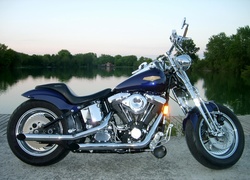 Motor, Harley-Davidson Springer