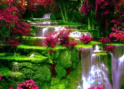 Wodospad, Kwiaty, Roślinność