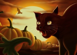 Kot, Dynie, Halloween