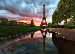 Paryż, Wieża, Eiffla, Roślinność, Kałuża