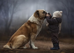 Pies, Dziecko, Drzewa Bullmastiff