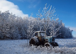 Zima, Oszronione, Drzewa, Stary, Traktor