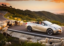 Samochód, Opel, Cascada, Owce, Góry, Droga, Zachód, Słońca