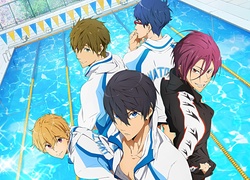 Free!, Iwatobi Swim Club, anime, basen, chłopcy