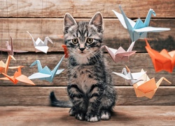 Kot, Kotek, Ptaszki, Origami