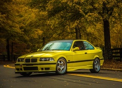 Żółte, BMW, E36, Szosa, Drzewa