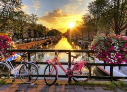 Amsterdam, Rzeka, Poranek, Most, Rowery, Kwiaty