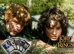 The Lord of The Rings, Elijah Wood, Sean Astin, trawa, karty