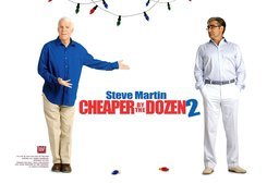 Cheaper By The Dozen 2, mężczyzna, Steve Martin
