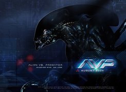 Alien Vs Predator 1, czarny, stwór