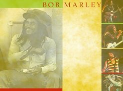 Bob Marley, Gitara, Mikrofon