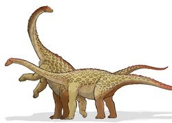 Dwa, Brachiozaury