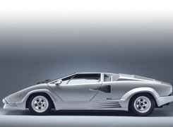 Lewy, Profil, Lamborghini Countach