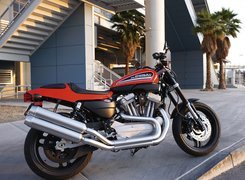 Harley Davidson XR1200, Pas, Napędowy