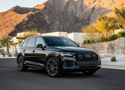 Audi Q7, 2020