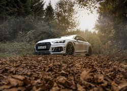Audi RS5, ABT Sportsline