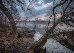 Rzeka Dubna, Domy, Mgła, Bezlistne, Drzewa, Łatgalia, Łotwa